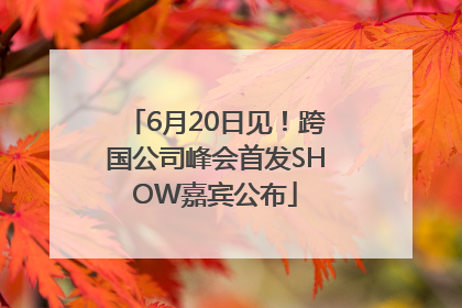 6月20日见！跨国公司峰会首发SHOW嘉宾公布