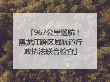 967公里巡航！黑龙江跨区域航道行政执法联合检查