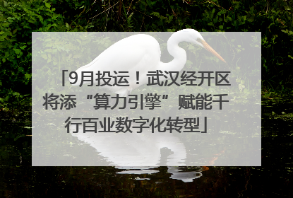 9月投运！武汉经开区将添“算力引擎”赋能千行百业数字化转型