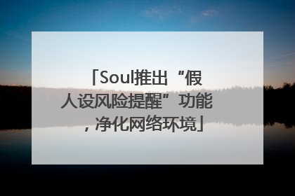 Soul推出“假人设风险提醒”功能，净化网络环境